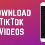 TikTok Ban: How to Download Your Videos and Data